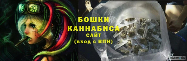 PSILOCYBIN Армянск