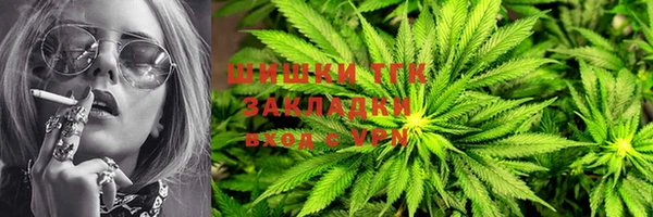 PSILOCYBIN Армянск