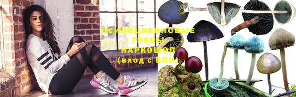 ALPHA PVP Арсеньев
