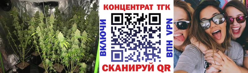 ТГК гашишное масло Рассказово