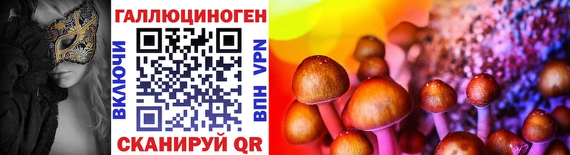 купить наркотики цена Рассказово Псилоцибиновые грибы GOLDEN TEACHER